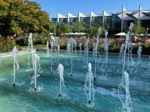 Brunnen aus den 60er-Jahren - und das moderne Gewächshaus