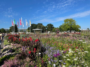 Mit 6.000 Quadratmetern das größte Blumenbeet Europas