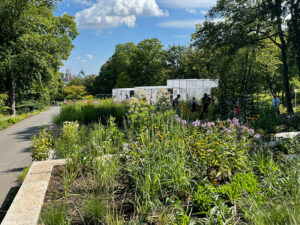 Foerster-Garten auf der BUGA