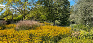 Goldener Herbst
