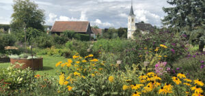 Natur im Garten (Bild: Lena-Weithofer)