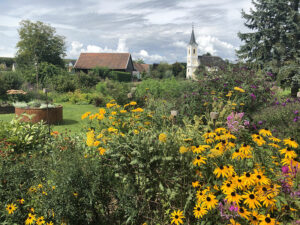 Natur im Garten (Bild: Lena-Weithofer)