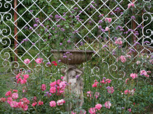 Natur im Garten (Bild: Leopold Mayrhofer)