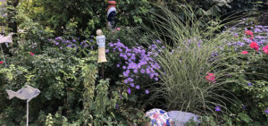 Natur im Garten (Bild: ORF-Talk/TV/Lena Weithofer)