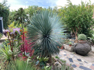 Natur im Garten (Bild: ORF/Ralph Huber-Blechinger)