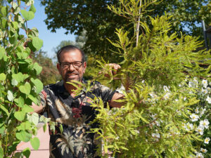 Natur im Garten (Bild: Leopold Mayrhofer)