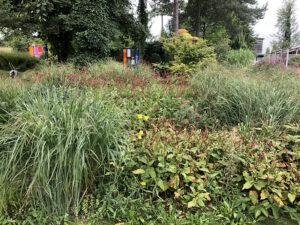 Natur im Garten (Bild: Lena Weithofer)