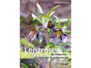 Buch über Lenzrosen
