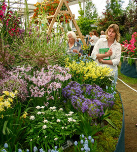 Chelsea-Flower-Show