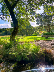 Pinetum