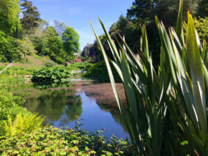 Trebah-Garden