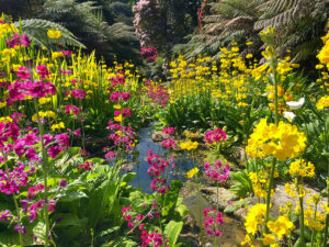 Trebah-Garden