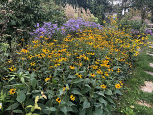 Natur im Garten (Bild: ORF/Talk TV/Lena Weithofer)