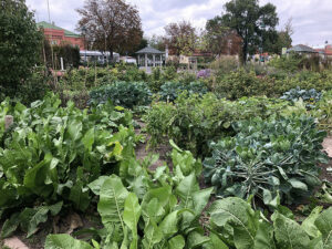 Natur im Garten (Bild: ORF/Talk TV/Lena Weithofer)