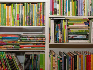 Bücherregal