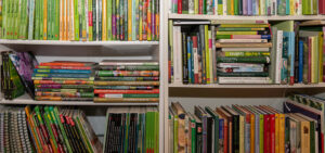 Bücherregal