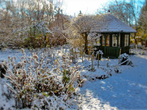 Garten im Winter