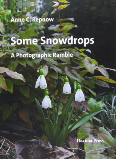 Buch "Some Snowdrops"