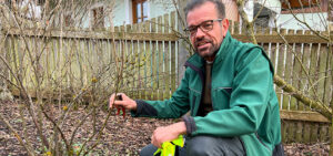Ploberger beim Beerenschnitt