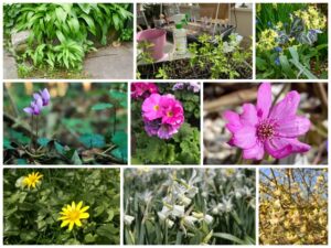 Collage "Frühling"