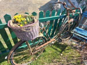 Frühling am Rad