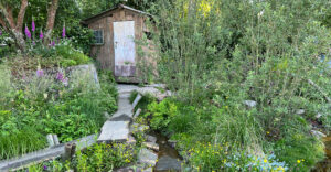 Siegergarten - Rewilding Britain