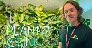 Zimmerpflanzen - die neue Leidenschaft der jungen Generation