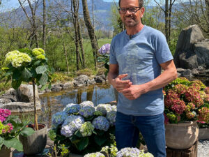Ploberger mit Hortensien