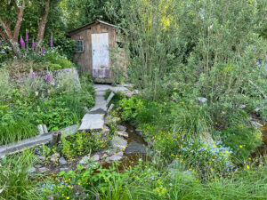 Siegergarten - Rewilding Britain