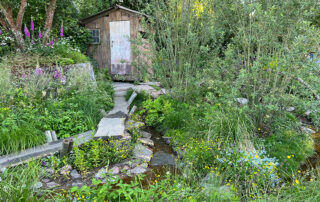 Siegergarten - Rewilding Britain
