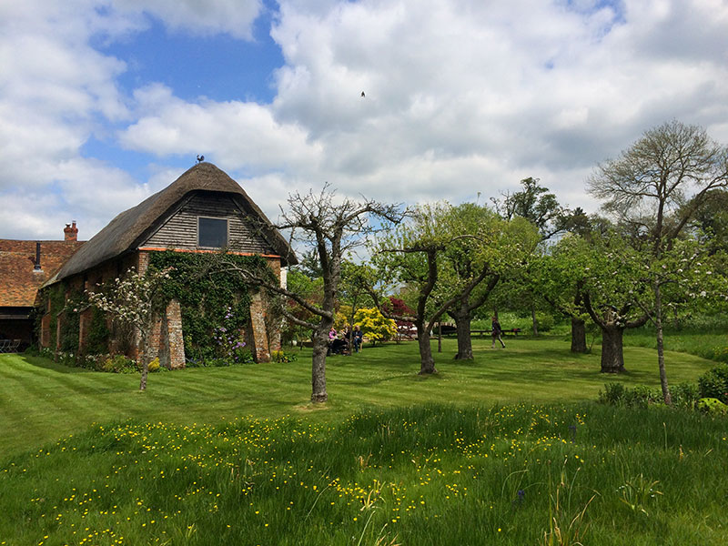 Englischer Garten mit Rasen und Blumenwiese - Natur und Struktur treffen sich
