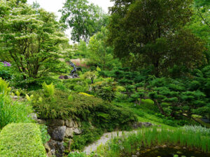 Natur im Garten (©Leopold Mayrhofer/Natur im Garten)
