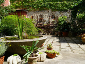 Natur im Garten (Bild: ©Leopold Mayrhofer/Natur im Garten)
