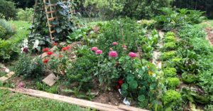 Natur im Garten in Söding-St. Johann (Bild: ORF/Talk TV/Lena Weithofer)