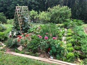 Natur im Garten in Söding-St. Johann (Bild: ORF/Talk TV/Lena Weithofer)