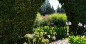 Natur im Garten in Schwoich (Bild: ©Leopold Mayrhofer/Natur im Garten)