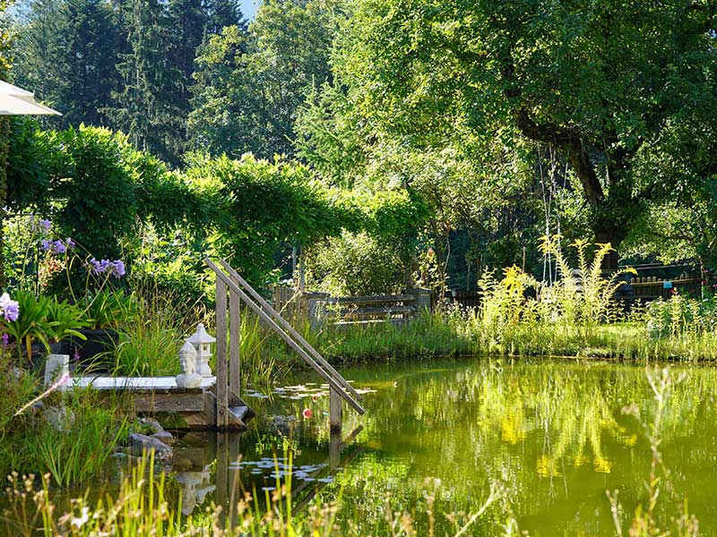 Natur im Garten in Schwoich (Bild: ©Leopold Mayrhofer/Natur im Garten)