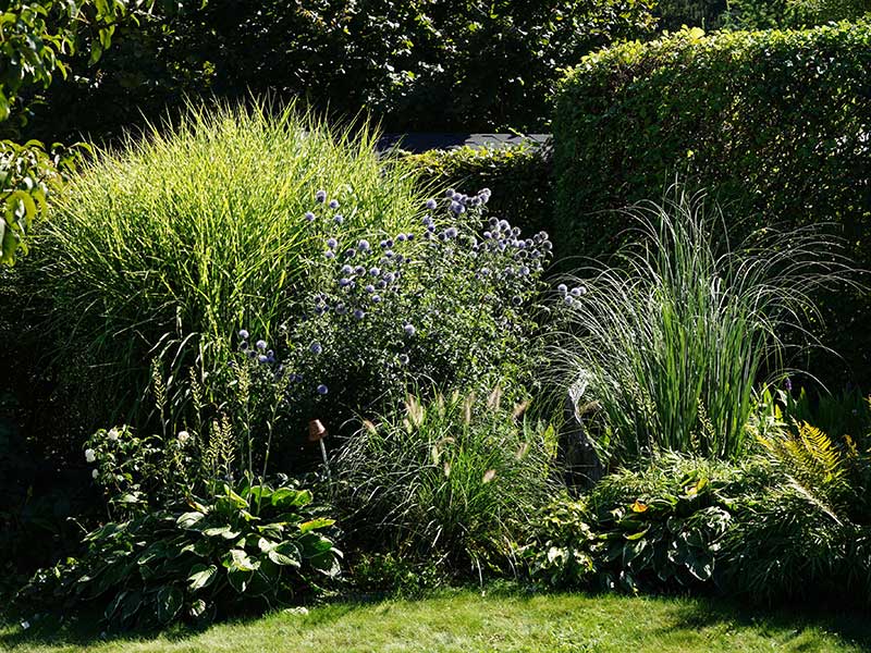 Natur im Garten in Schwoich (Bild: ©Leopold Mayrhofer/Natur im Garten)