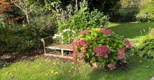 Herbst im Garten