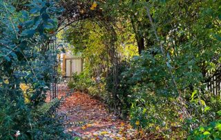 Herbst im Garten