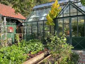 Gemüsegarten im Herbst