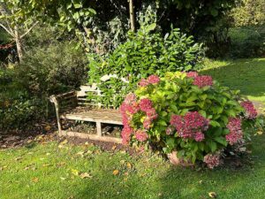 Herbst im Garten