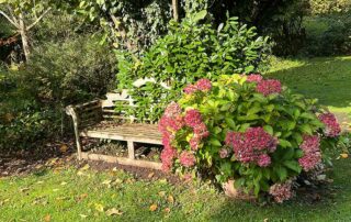 Herbst im Garten