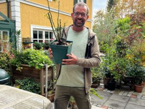 Ploberger im Herbst