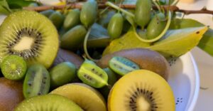Kiwi Vielfalt
