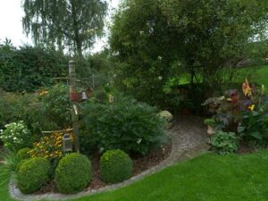 Natur im Garten in Gramastetten (Bild: ORF-Talk/TV)
