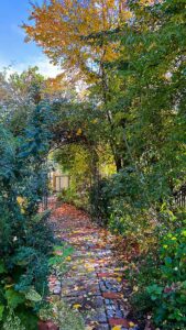 Herbst im Garten