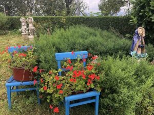 Natur im Garten in Karlstetten ORF/Talk TV/Lena Weithofer