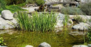"Natur im Garten" in Reith im Alpbachtal (Bild: ©Leopold Mayrhofer/Natur im Garten)