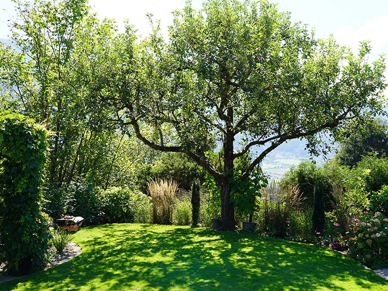 "Natur im Garten" in Stans (Bild: ©Leopold Mayrhofer/Natur im Garten)